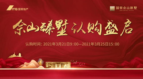 上海网域网稳定性解析，技术、管理与用户感受的全方位探讨