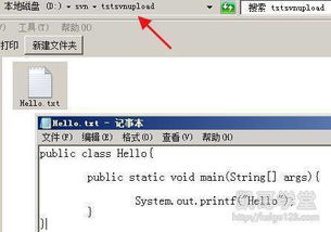 全面掌握Java开发，SVN版本控制及阿里云服务器部署视频教程
