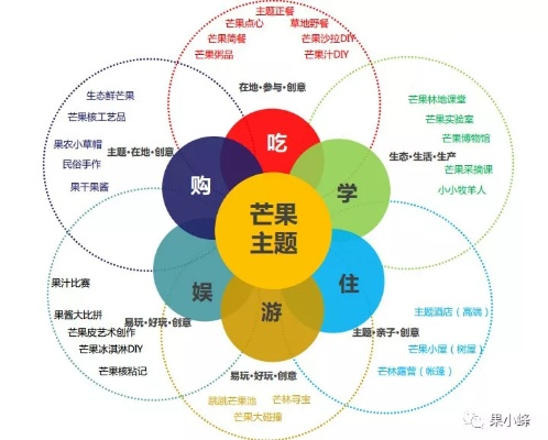 深入剖析，芒果互联的稳定性与用户体验解析