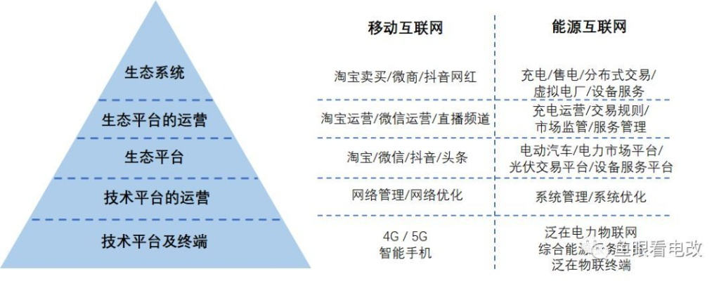 钱塘人网络稳定性分析报告，技术与现实考量下的网络生态系统
