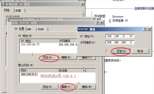 探索数字世界的起点，从申请域名到试用虚拟主机的旅程
