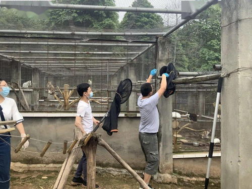 爱就乐，互联时代的稳定之选