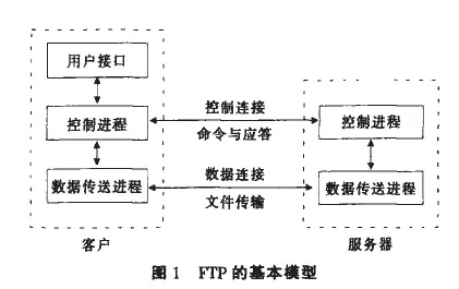 文件格式与FTP/域名连接的正确选择，确保数据高效传输与存储