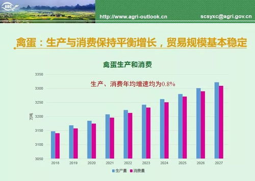 XP建站网稳定与否？深度分析其可靠性、性能优化与未来展望