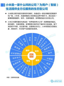 宏网互联，稳定性、优势与未来展望的深入分析