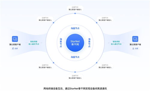 亿速网络稳定性分析与评估，高效、稳定的网络服务解决方案