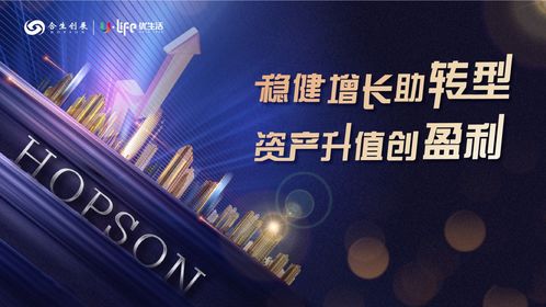 天信网络科技的稳健发展之路，科技力量支撑稳定前行