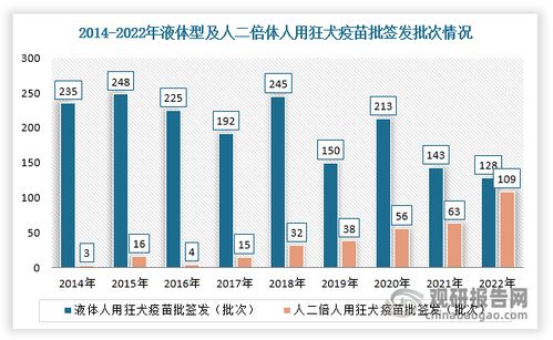 黑龙数据中心稳定性探讨，卓越性能、安全保障与未来展望