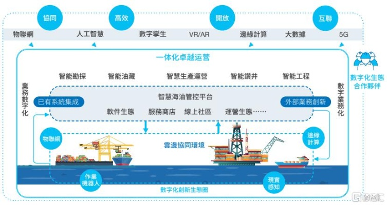 七禧网络，穿越数字海洋的稳健之舟