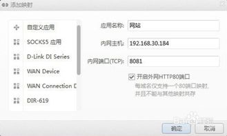 域名别名解析，提升DNS解析生效速度的关键策略