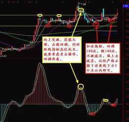 网源动力，稳定与波动背后的解析