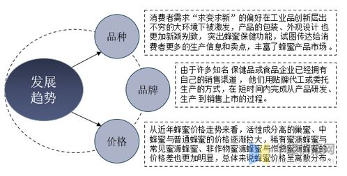 天信科技，稳定性、创新与可持续发展的探索与剖析