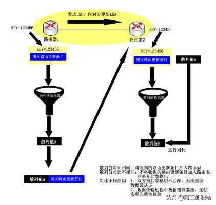 世纪网络，稳定性和可靠性深度解析