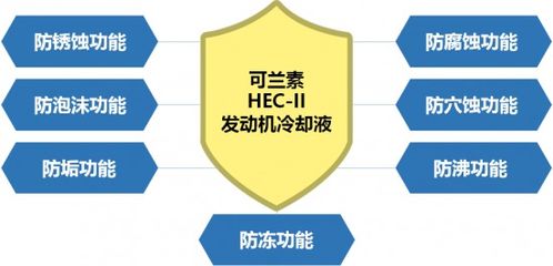 厦门昱奇网络，稳定、高效的网络服务卓越之选