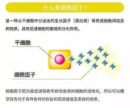 冰域信息稳定性探析，自然环境与人为因素影响的探讨