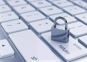 西科互联，技术创新与稳定性并重的互联网新星