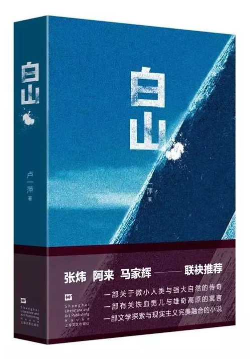 求一个小说站域名，探索网络文学的新世界