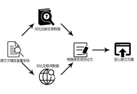 TW域名过户是否收费，全面解析与操作指南
