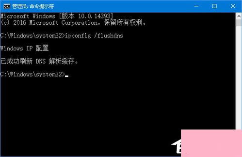 V2域名解析失败，深度解析与解决方案