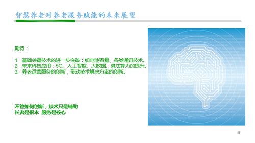 域名捆绑的问题，挑战、解决方案与未来展望