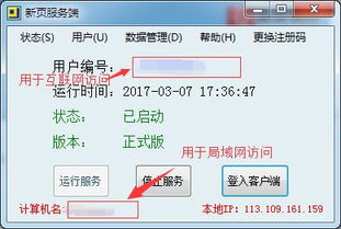 微号中的个性域名，解锁数字身份的新维度