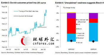 米尔沙网络的稳定性探索，技术深度、风险评估与未来展望