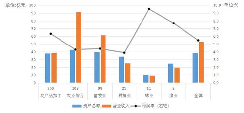 湖北华夏数据，稳定性分析及其对企业运营的影响