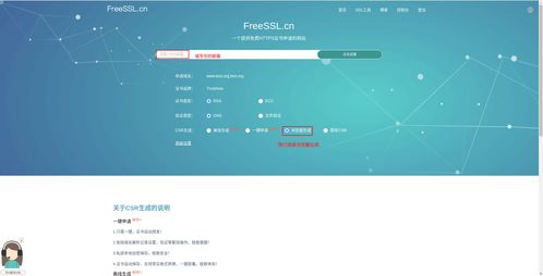 域名证书要到哪里下载？