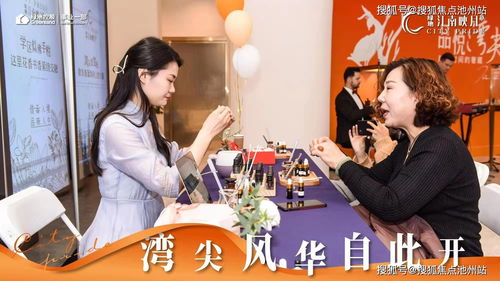 域名查询网站，一站式解析你的网络足迹