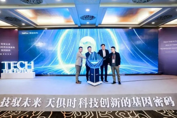 天意互联，探索其稳定性与未来发展