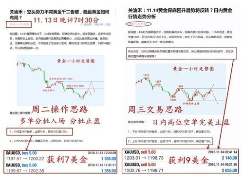 面对E动网域名年费涨价，策略应对与长远考量