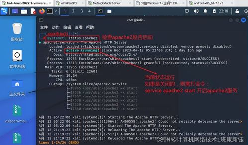检查 Apache 服务状态