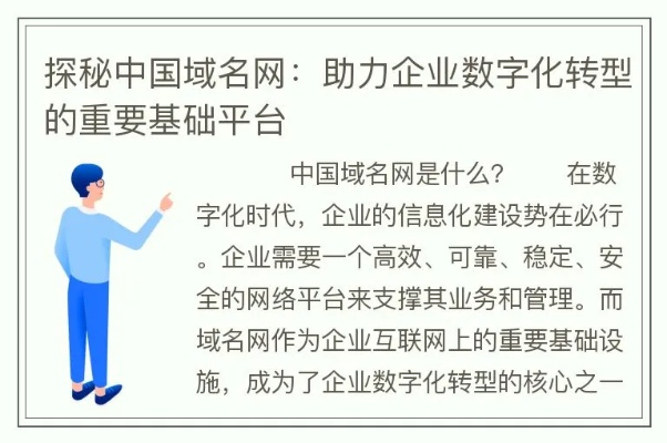 中国域名网稳定性分析与建议