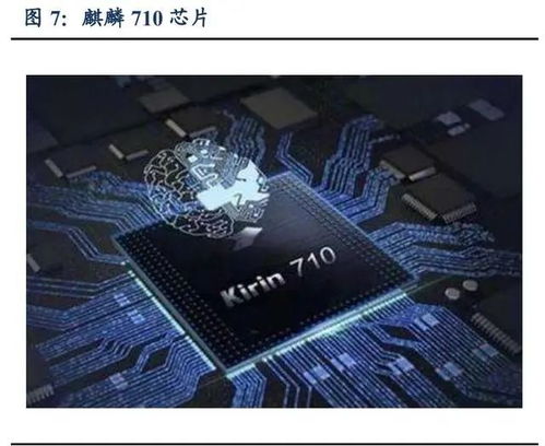 探索尚色网络的稳定性，一场探寻网络可靠性的深度剖析