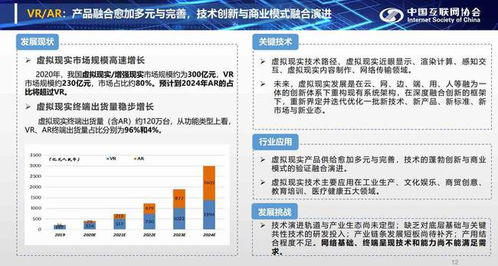 中国盟网稳定性探讨，逐步发展与持续优化的互联网治理