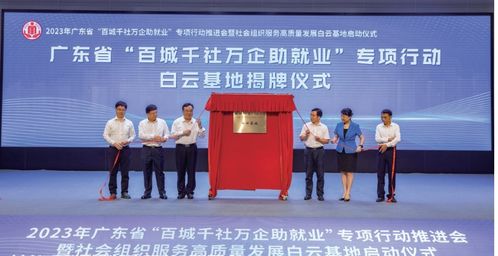 中青年创业浪潮下的就业稳定与职业发展探索