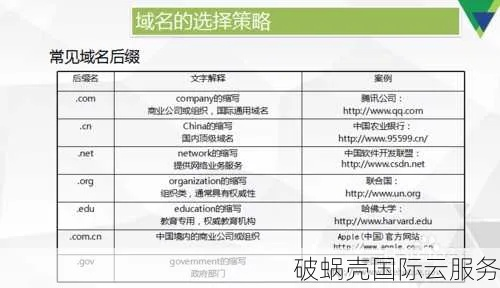 有用CC域名后缀的大网络公司吗？