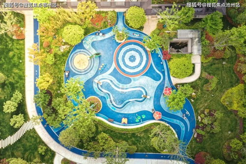 盛圣网络的稳定性分析与深度解析