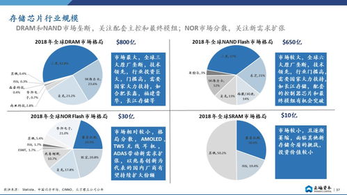 振振网络，稳定性与未来展望的深度剖析