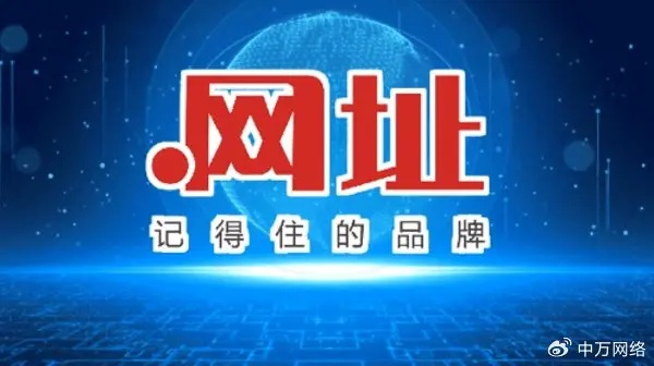 帝网中国，卓越域名与稳定空间的优选平台