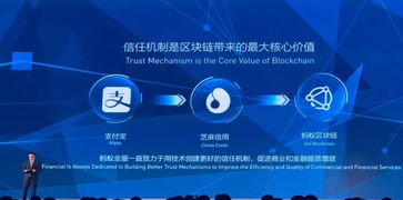 透视众诚网络科技，探寻其稳定与发展的基石