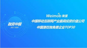Youzzij网站新域名，免费与价值的平衡点