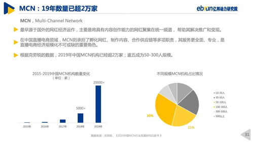速度屋，稳定性、挑战与未来发展的深入分析