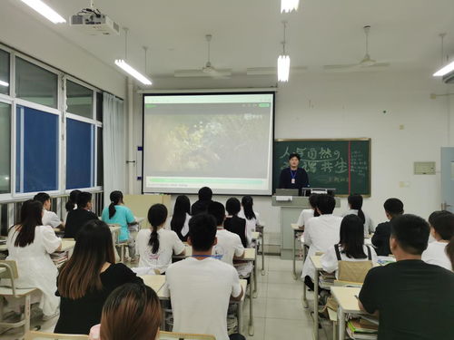高高兴兴的稳定之路，探索情绪管理与社会适应的和谐共生