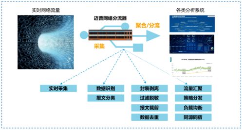 锐一网络，打造稳定高效的网络连接体验