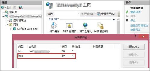 IIS6配置主机头后外网访问问题解析