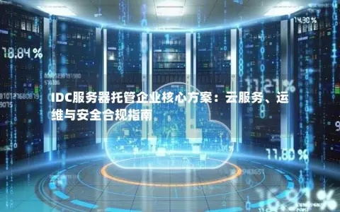奔腾IDC稳定性探讨，深度解析服务质量与保障措施