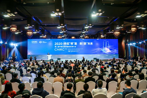 漫道网络，稳健基石铸就互联网时代的稳定桥梁
