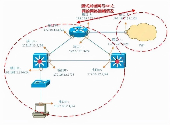 动态域名外网访问问题解析，为何本机PING域名无法获取IP及解决方案