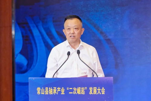中国舜网，稳定性、挑战与未来发展